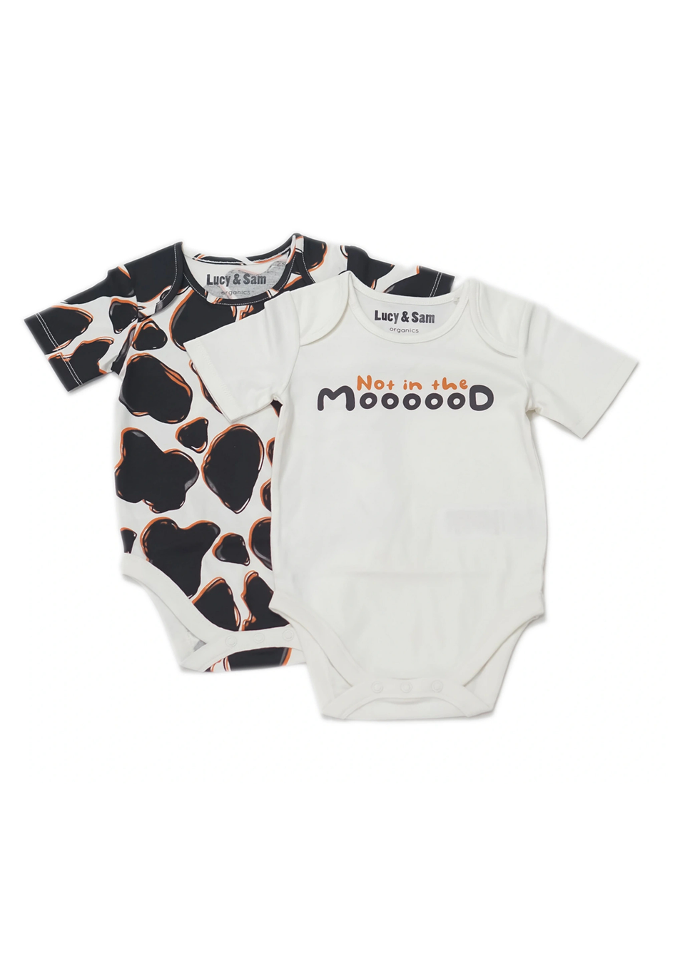 Lucy & Sam Black Cow 2 Pack Bodysuit (0 to 24 Months)