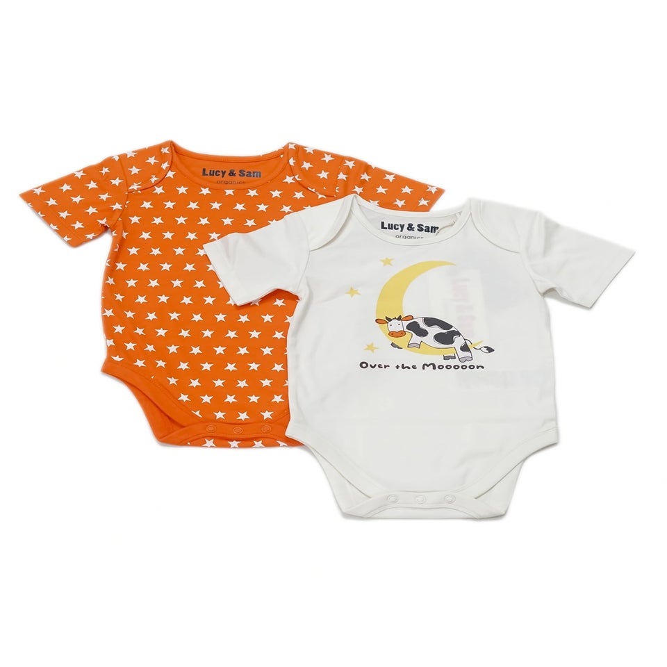 Lucy & Sam Orange Pumpkin Star 2 Pack Bodysuit (0 to 24 Months)