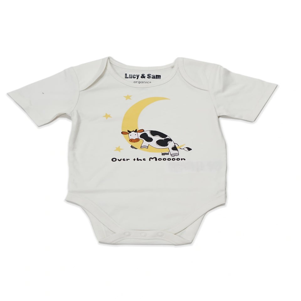 Lucy & Sam Orange Pumpkin Star 2 Pack Bodysuit (0 to 24 Months)