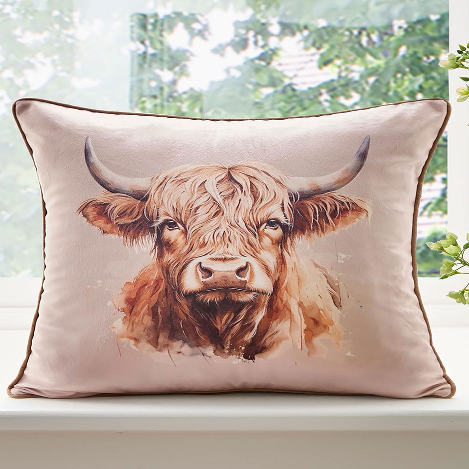 Cotton Traders Multi Velvet Highland Cow Cushion