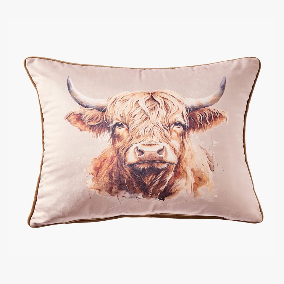 Cotton Traders Multi Velvet Highland Cow Cushion