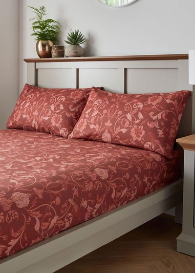 Cotton Traders Multi Acanthus Fitted Sheet Set