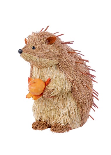 Premier Decorations Spikey Hedgehog with Pumpkin Ornament