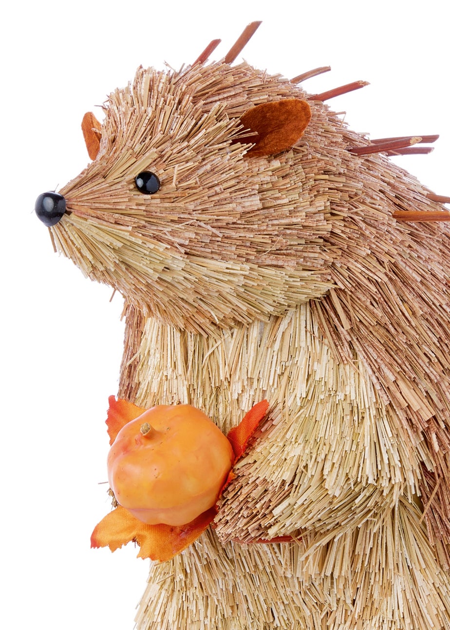 Premier Decorations Spikey Hedgehog with Pumpkin Ornament