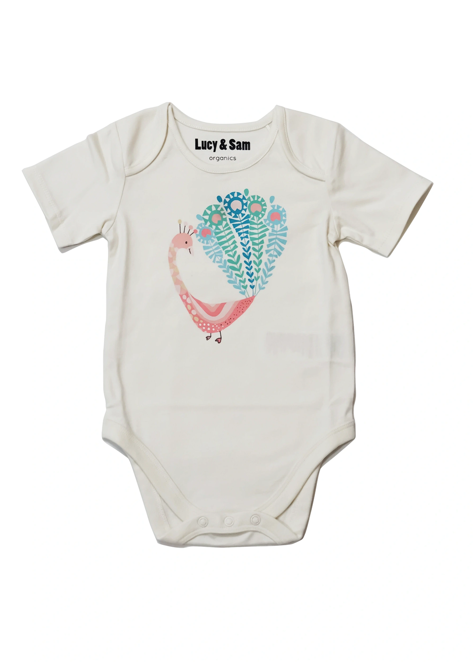 Lucy & Sam Blue Bold & Beautiful 2 Pack Bodysuits (0 to 24 Months)