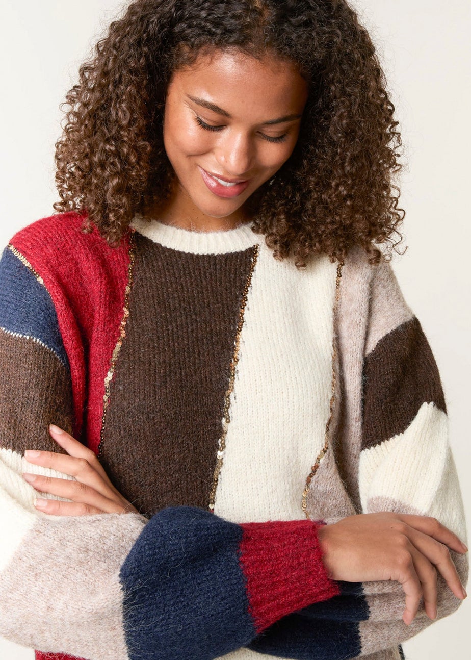 Blue Vanilla Brown Stripe Sequin Detail Jumper