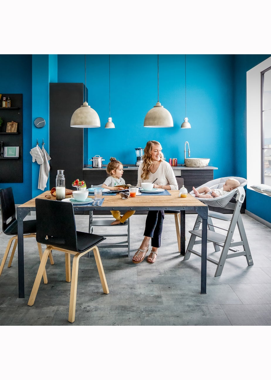 Hauck Grey Alpha Bouncer 2 in 1 Stretch