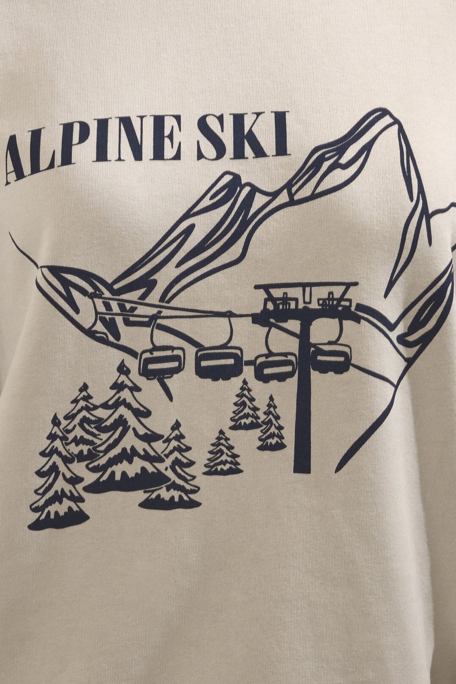 Long Tall Sally Stone Brown 'Alpine Ski' Slogan Sweatshirt