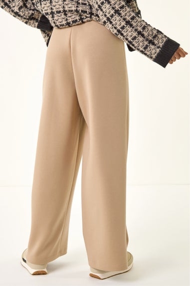 Roman Stone Petite Front Seam Stretch Trouser