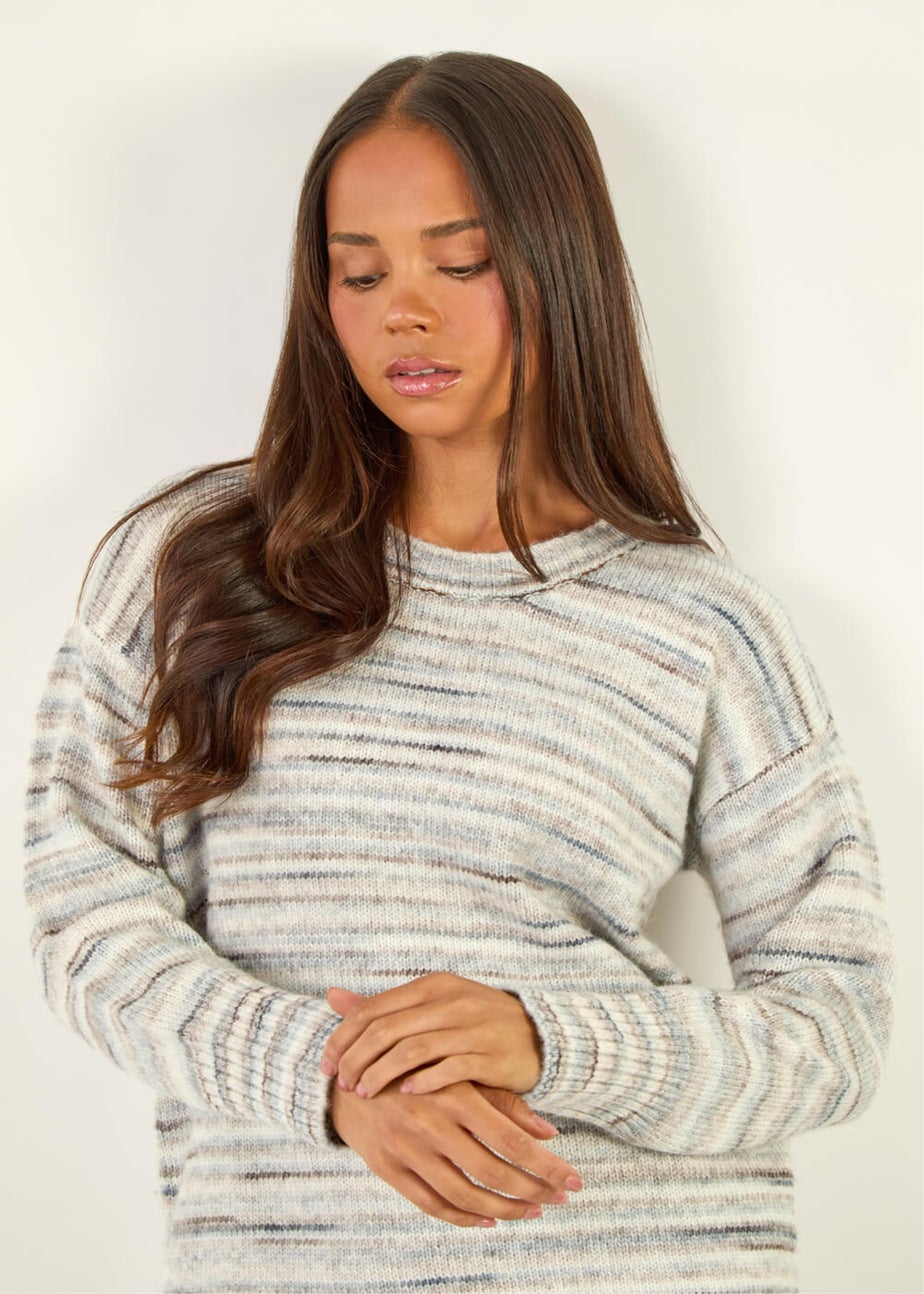 Roman Grey Petite Space Dye Knitted Jumper