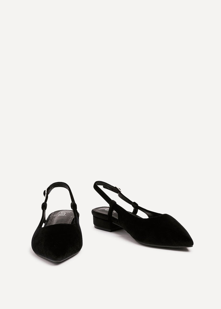 Linzi Clasica Black Velvet Pointed Toe Ballet Flat