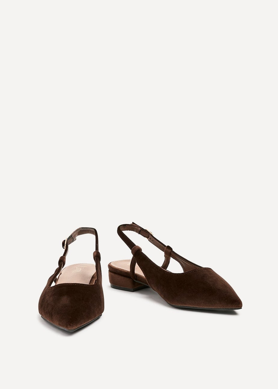 Linzi Clasica Brown Velvet Pointed Toe Ballet Flat