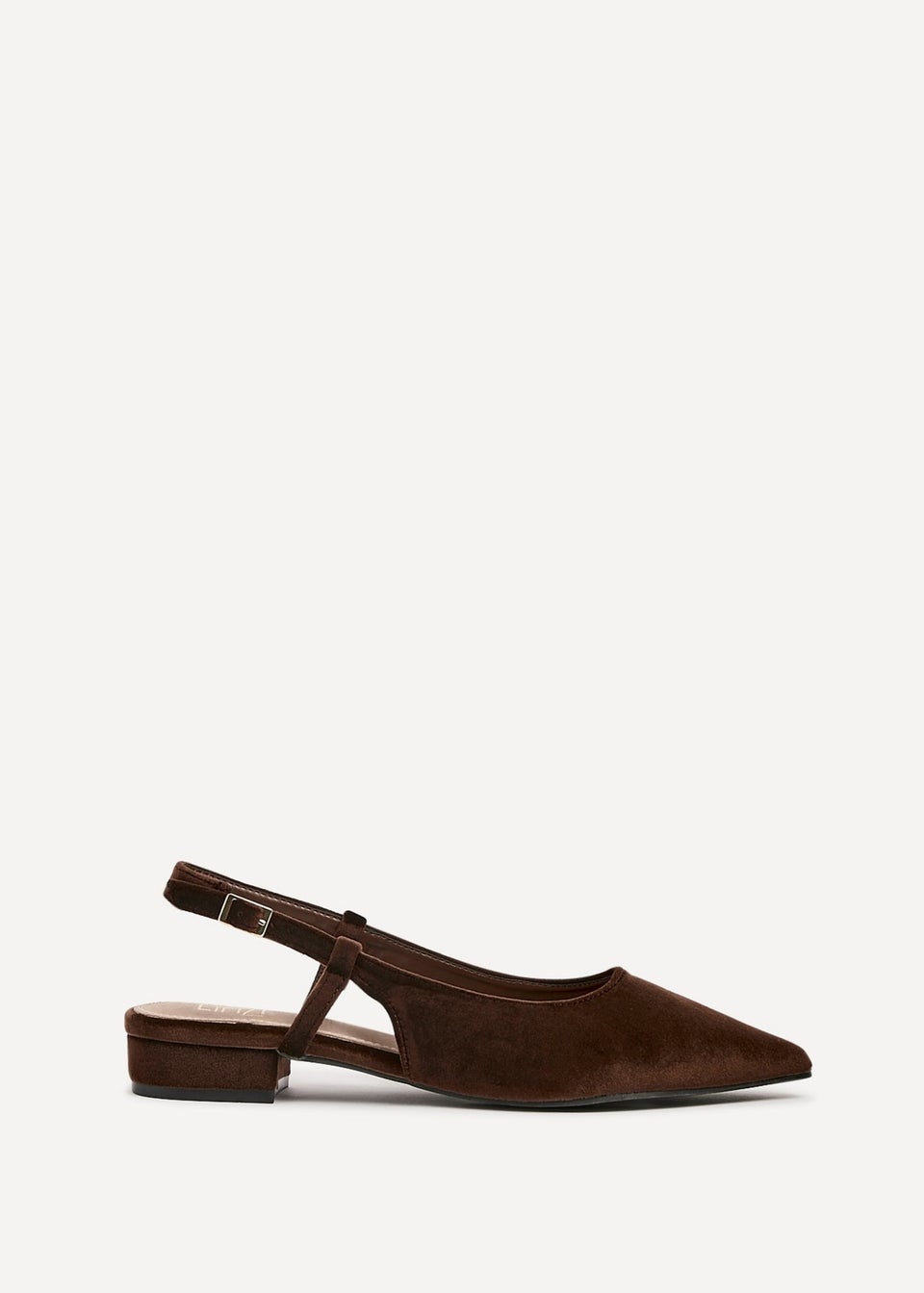 Linzi Clasica Brown Velvet Pointed Toe Ballet Flat