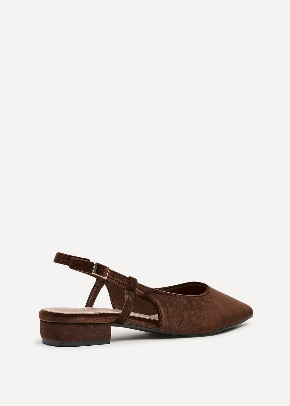 Linzi Clasica Brown Velvet Pointed Toe Ballet Flat