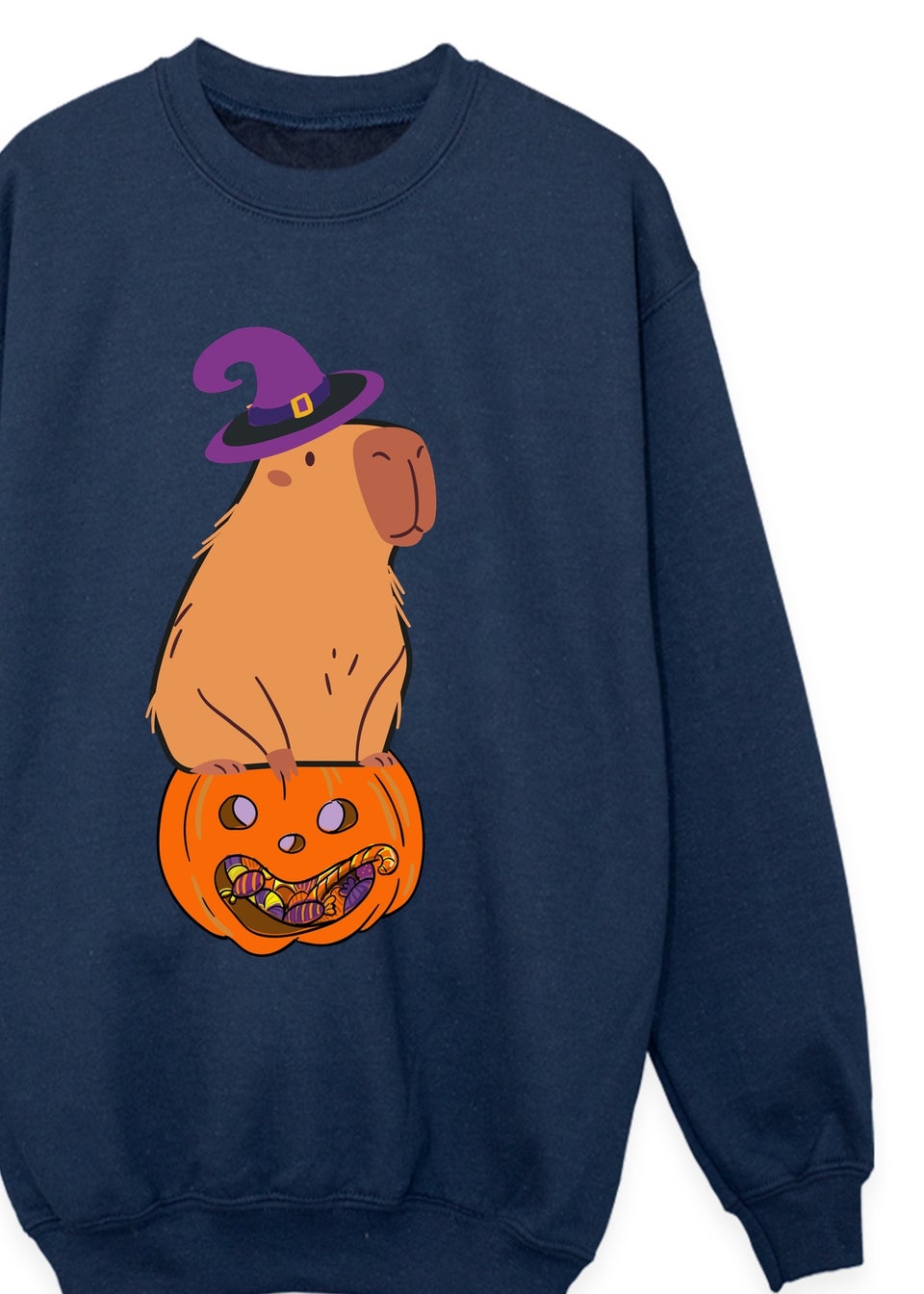 Brands In Capybara Pumpkin Girls Navy Blue Graphic Sweatshirt (Age 3-13 Years)