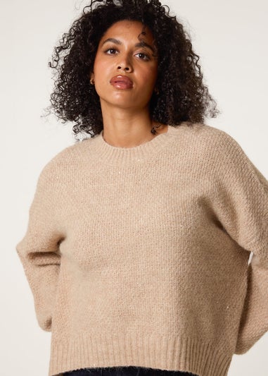 Blue Vanilla Beige Round Neck Sequin Detailed Jumper