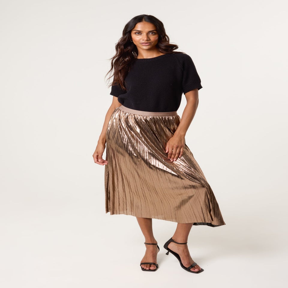 Blue Vanilla Tan Metallic Pleated Tulle Skirt