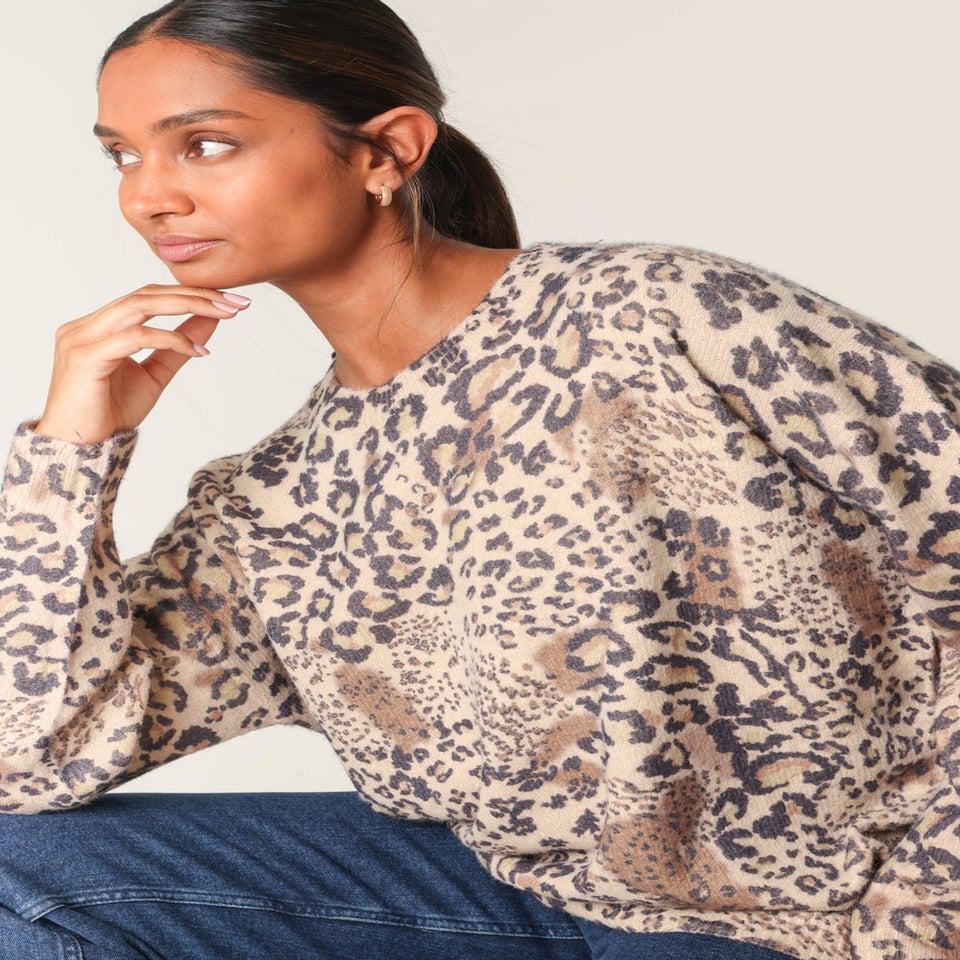 Blue Vanilla Beige Cheetah Patterns Jumper