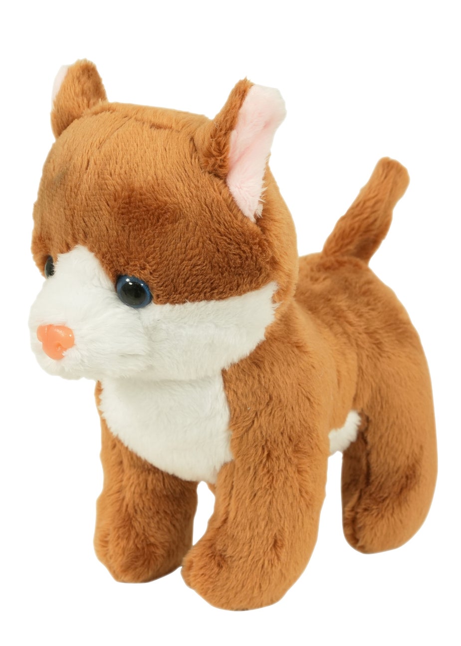 MoVe Pets 2 Go Tri Scooter with Kitten!