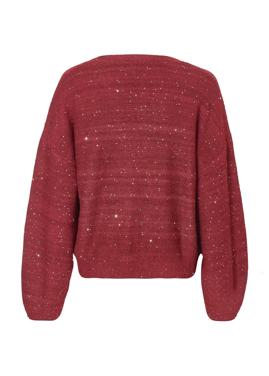Quiz Burgundy Sequin Tie Front Cardigan