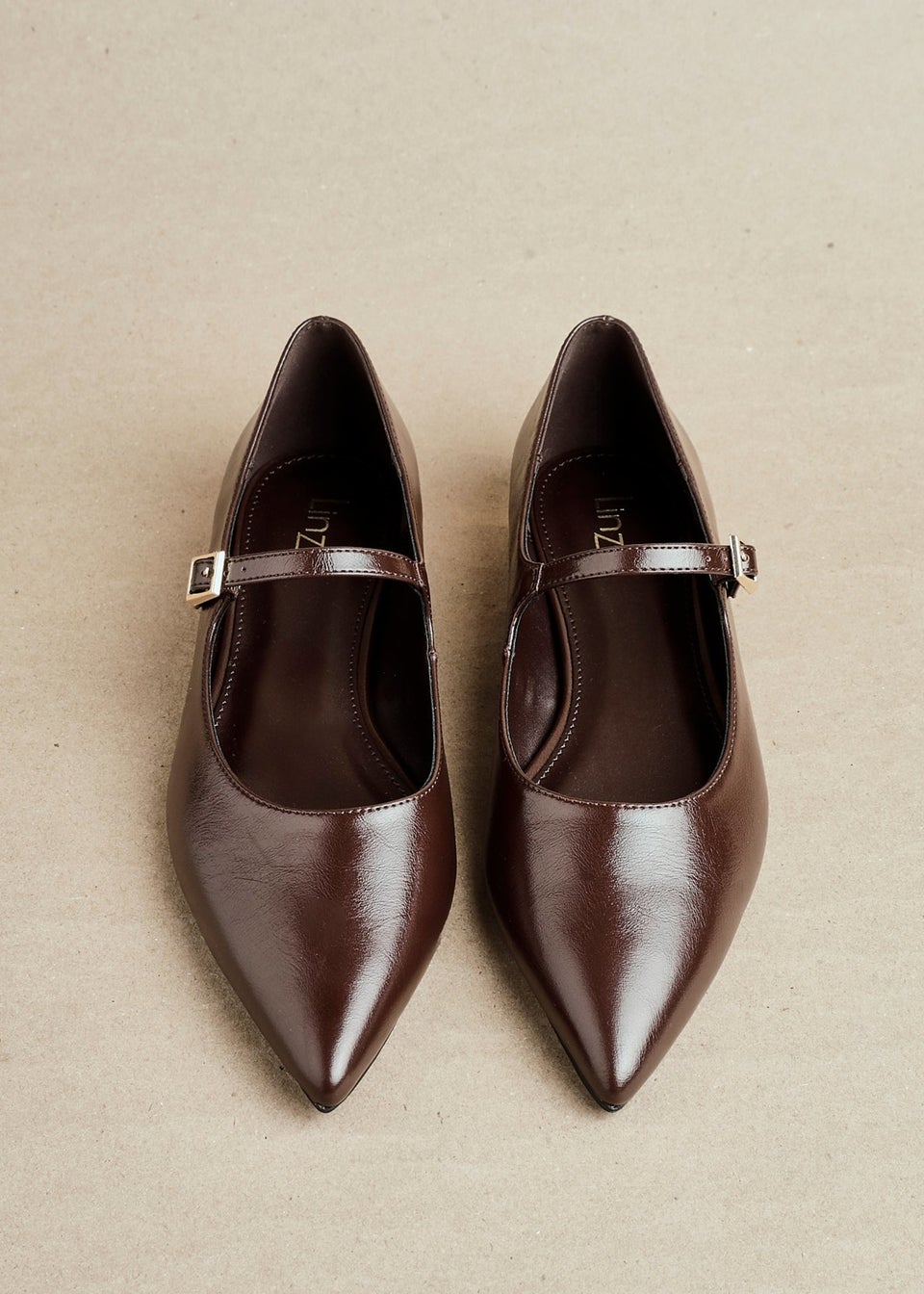 Linzi Seattle Brown Faux Leather Pointed Toe Mary Jane Flats