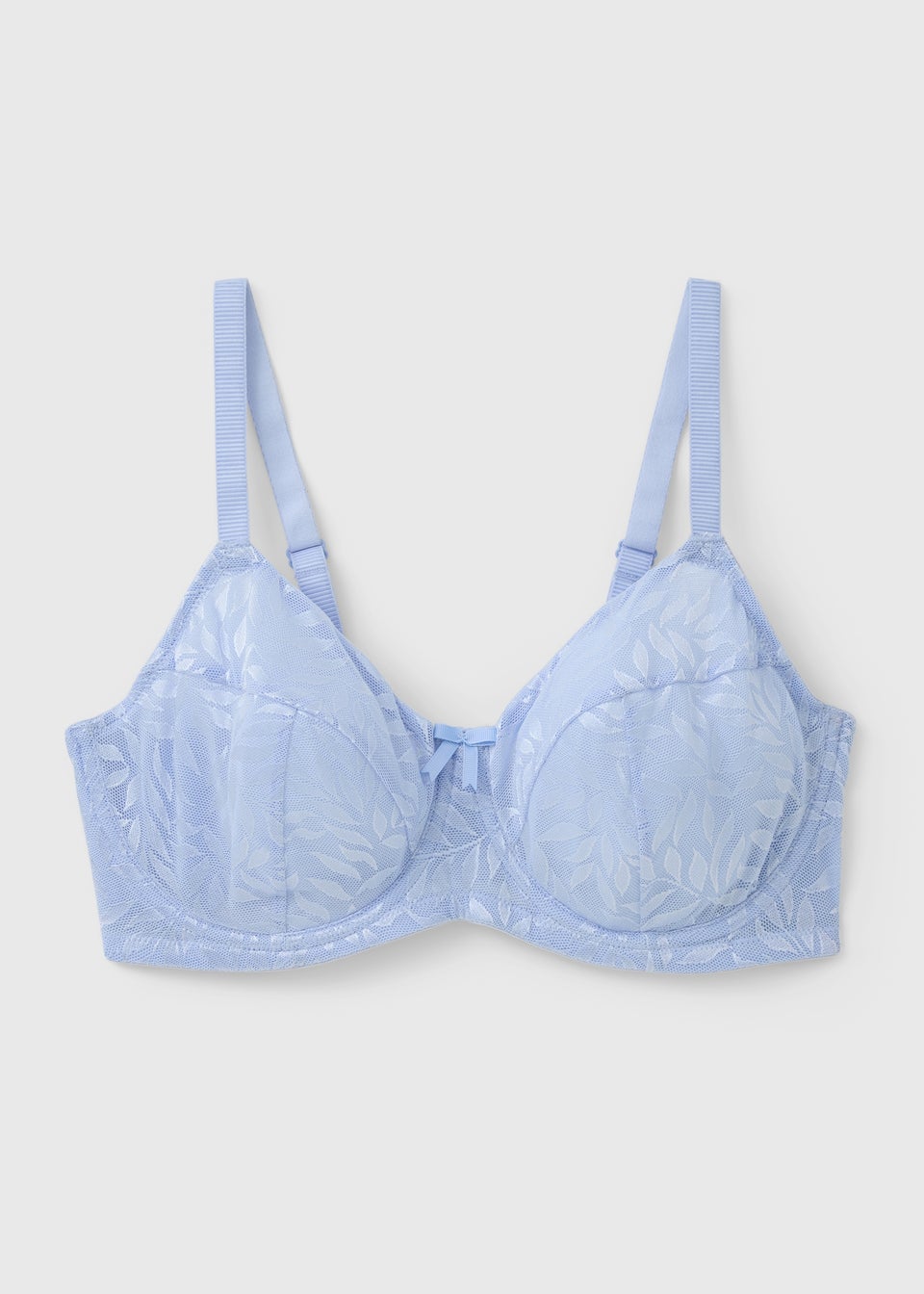 Pale Blue Leaf Detail DD+ Bra