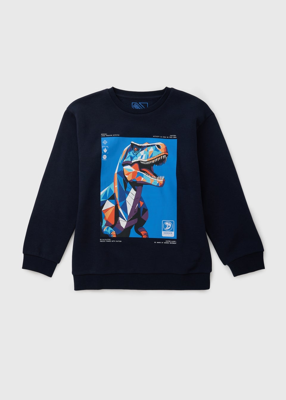 Boys Navy Coloured Dino Sweatshirt (7-15yrs)