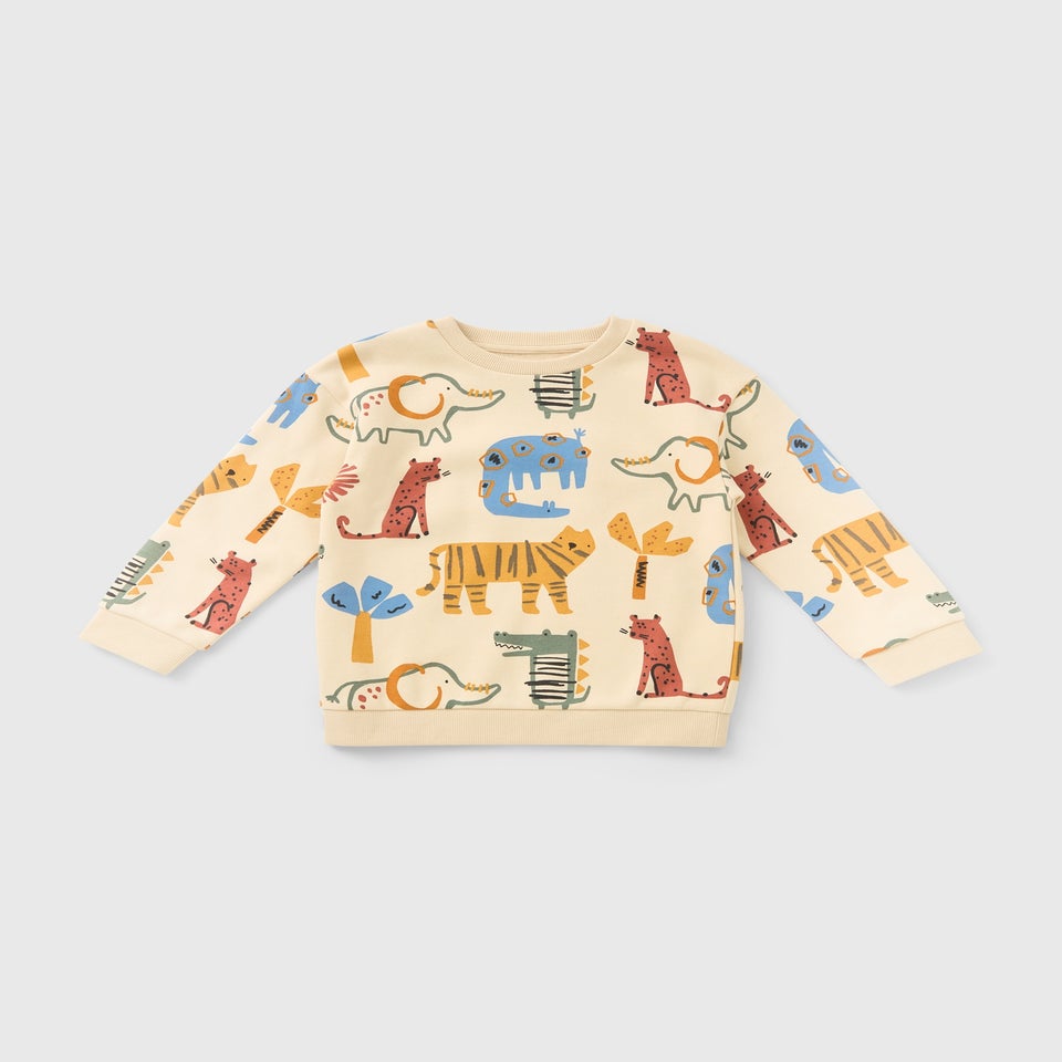Boys Multicolour Animal Sweatshirt (1-7yrs)