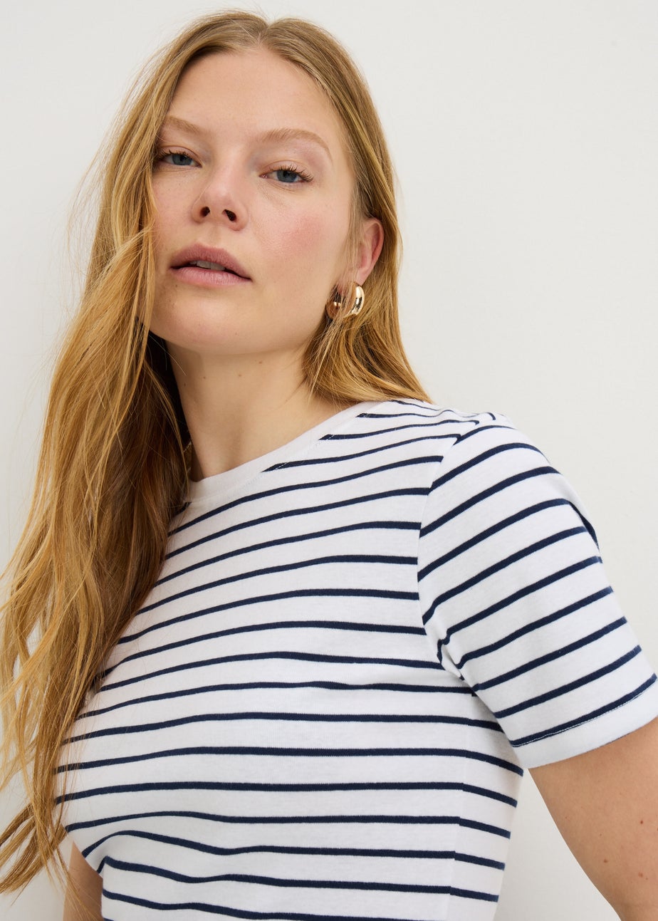 Navy Stripe Fitted T-Shirt