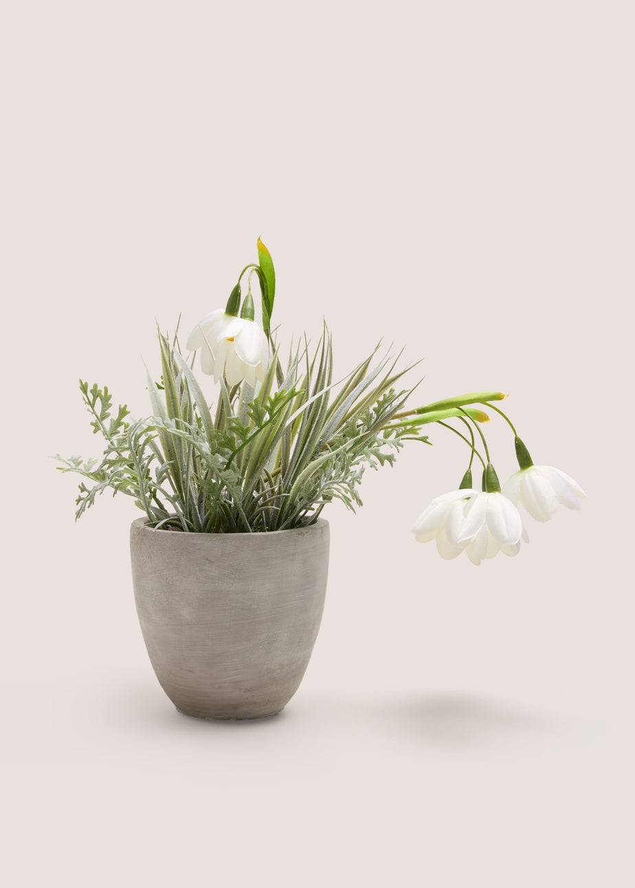 White Flower In Cement Pot