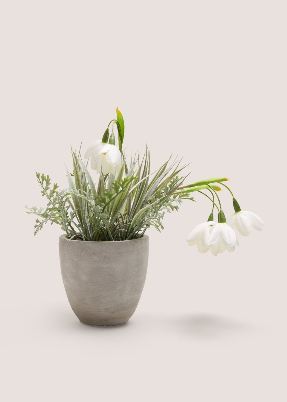 White Flower In Cement Pot