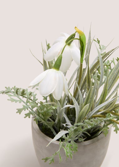 White Flower In Cement Pot