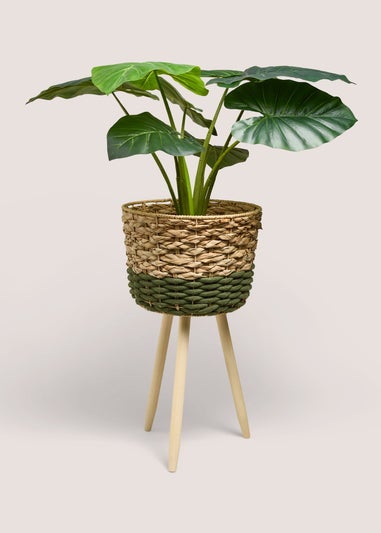 Green & Beige Weave Planter