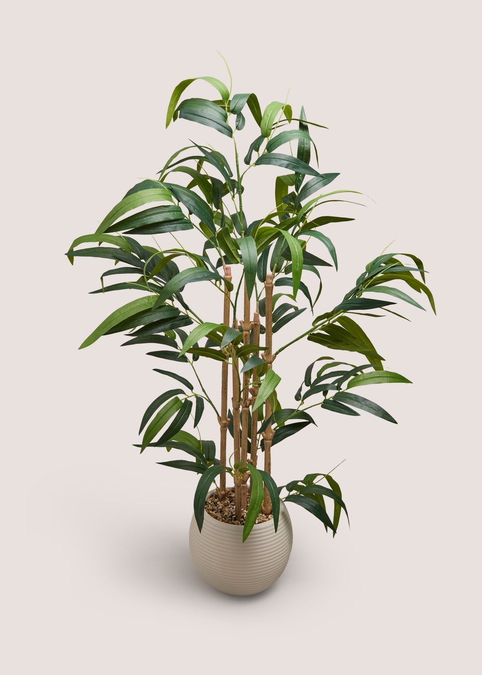 Bamboo Tree With Pot