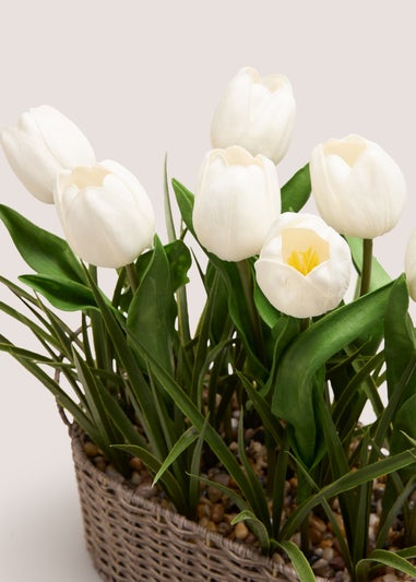 White Tulip In Woven Pot