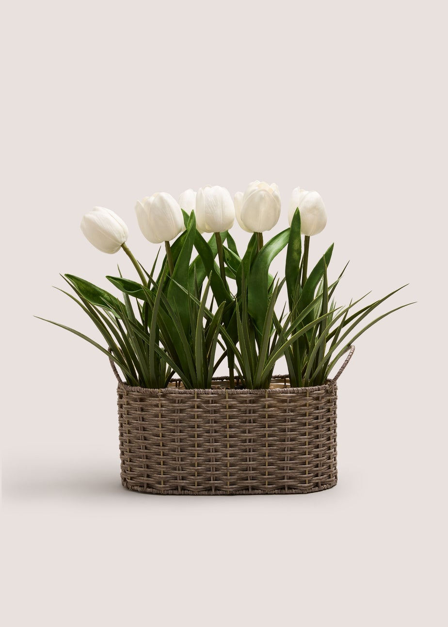 White Tulip In Woven Pot