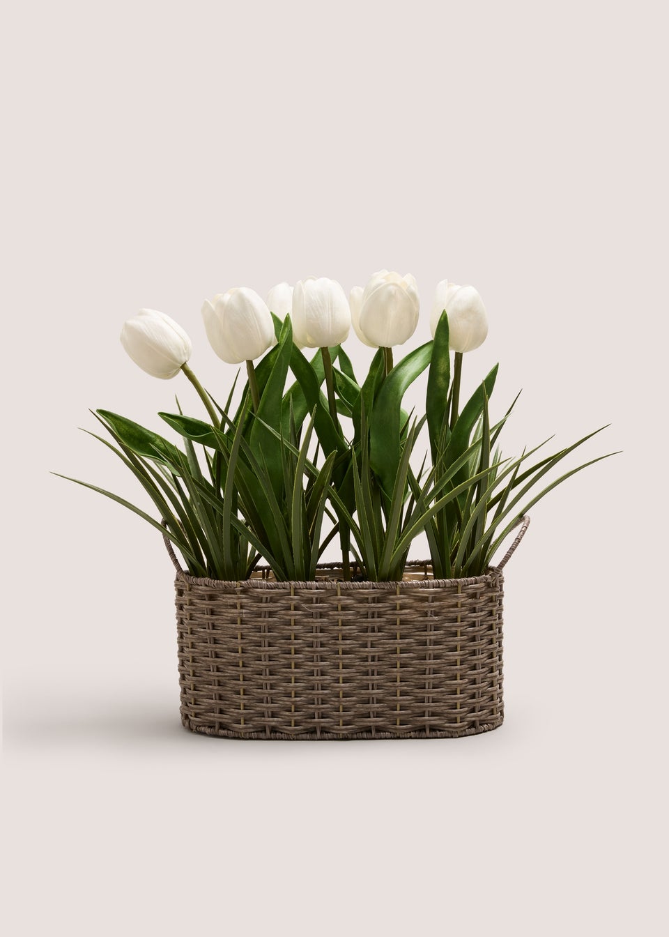 White Tulip In Woven Pot