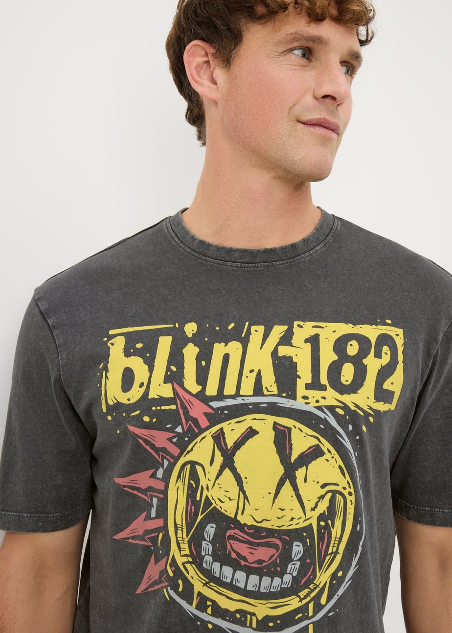 Grey Blink 182 Band T-Shirt