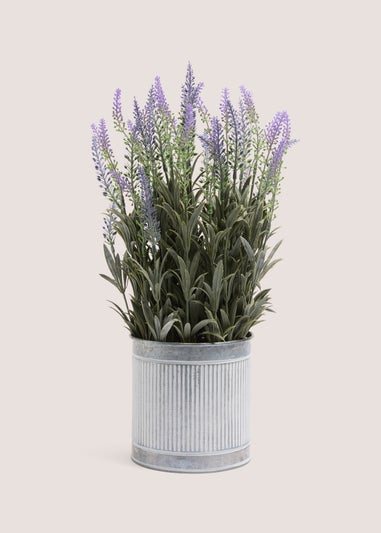 Lavender In Metal Pot