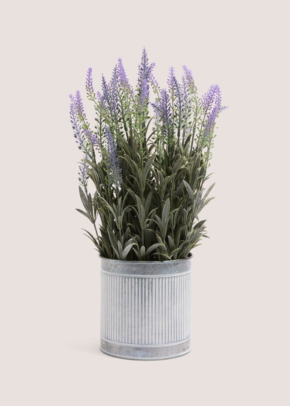 Lavender In Metal Pot