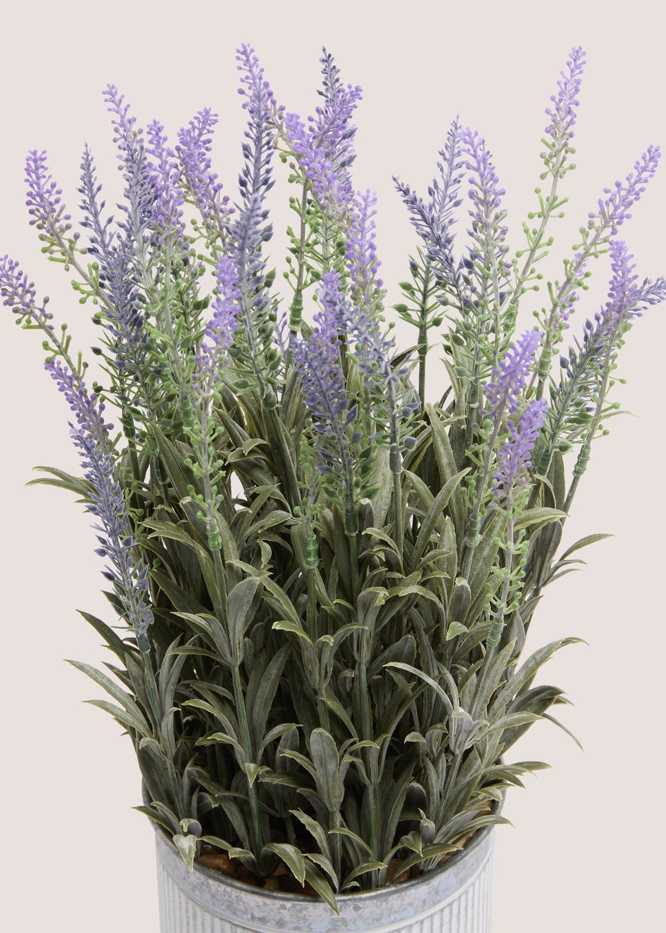 Lavender In Metal Pot