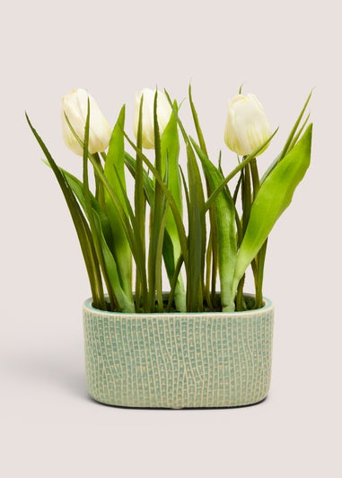 Green Tulip In Narrow Pot
