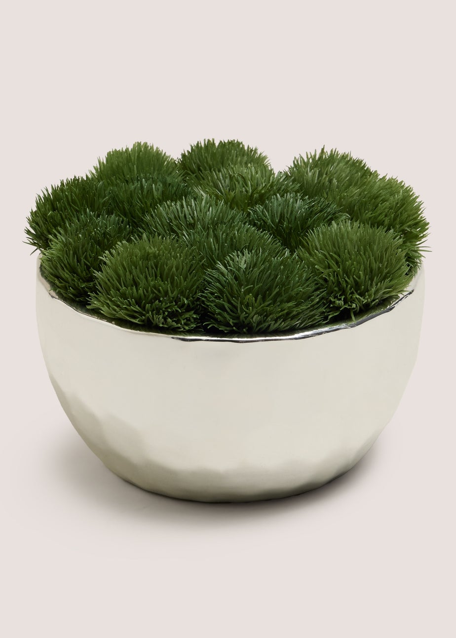 Chrome Moss Bowl