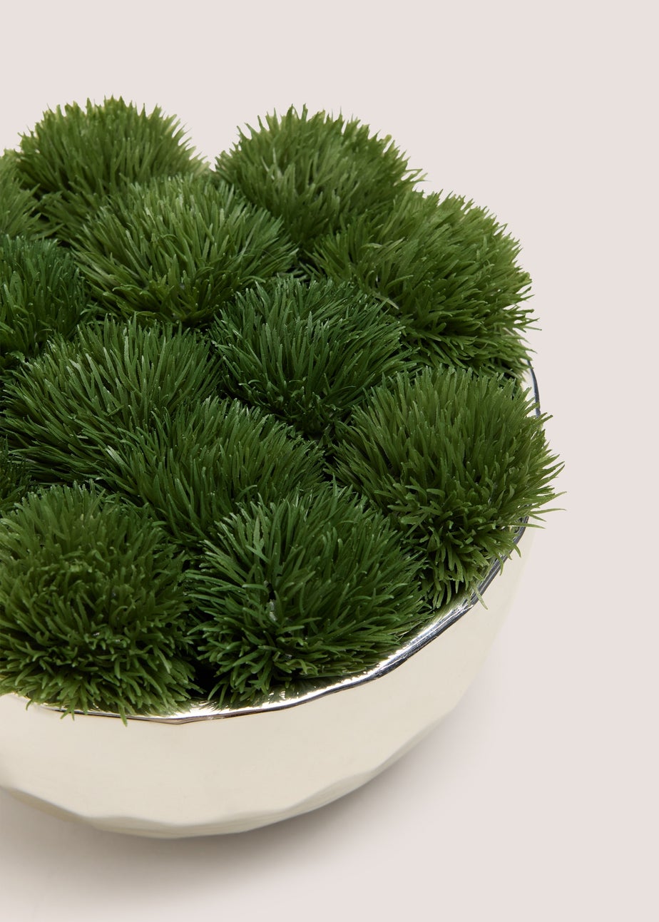Chrome Moss Bowl