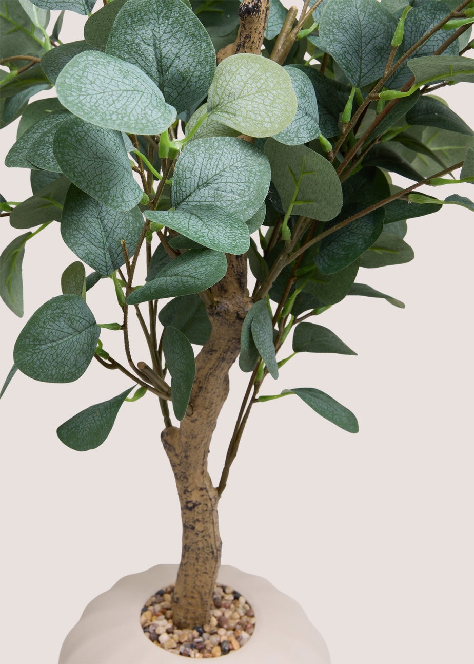 Large Eucalyptus In Cream Ribbed Pot
