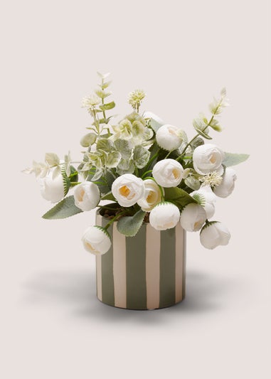 Peony Buds In Stripe Pot