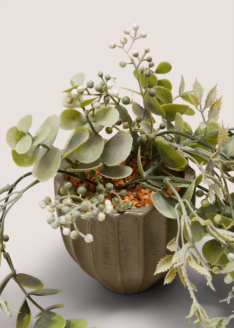 Trailing Plant In Green Ribbed Pot