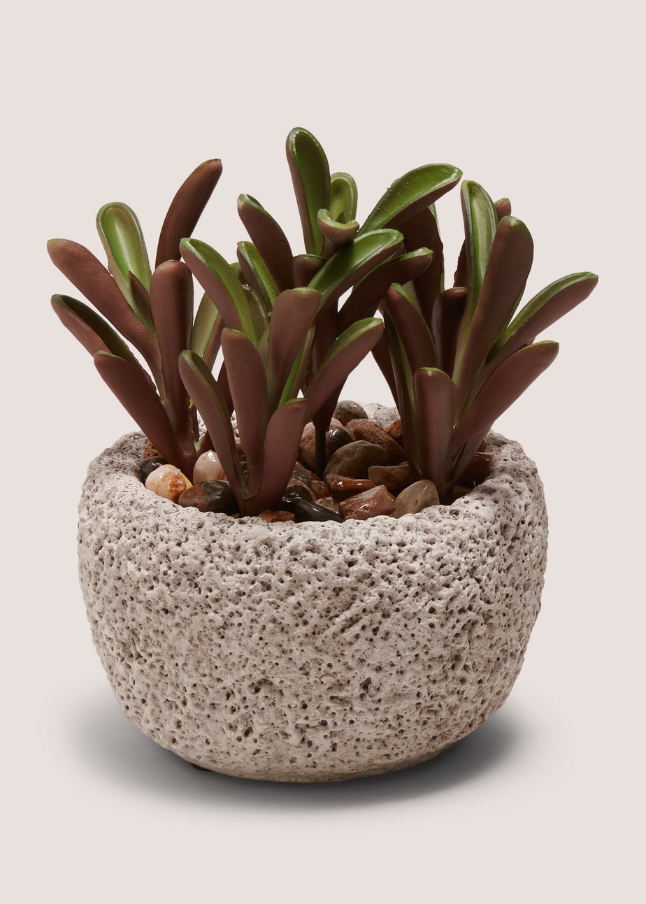 Succulent Rock Pot
