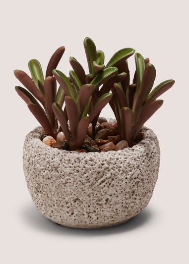 Succulent Rock Pot