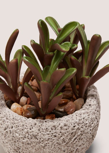 Succulent Rock Pot